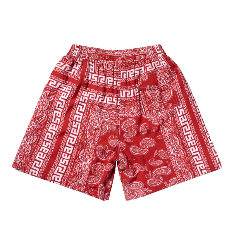 ARIES Bandana Print Board Shorts - Red