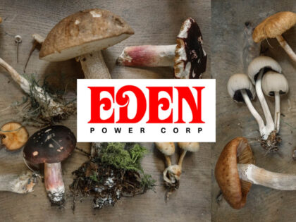 Introducing: EDEN Power Corp