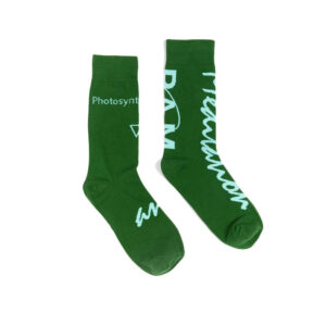 P.A.M. (Perks & Mini) Photosynthesis Dress Socks - Spruce