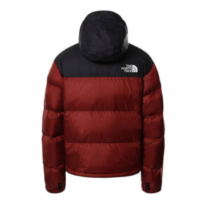 the north face 300