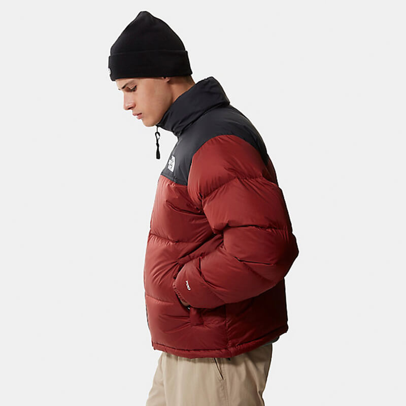 tnf 96