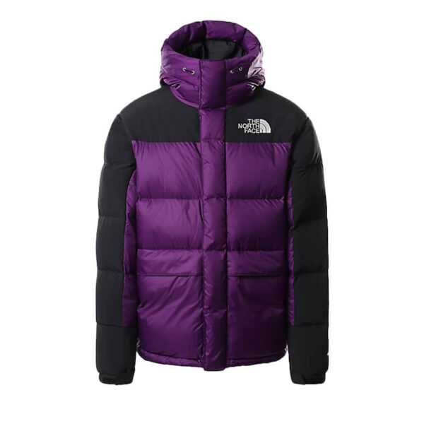 THE NORTH FACE HIMALAYAN DOWN PARKA