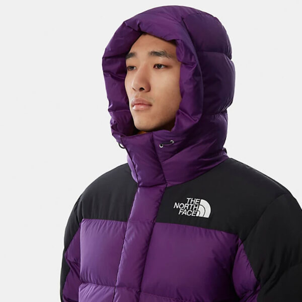 THE NORTH FACE HIMALAYAN DOWN PARKA