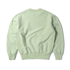 ARIES_PREMIUMTEMPLESWEATSHIRT_PASTELGRN2