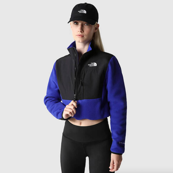 TNF_WMNSDENALIFLEECEJACKET_LAPISBLUE5