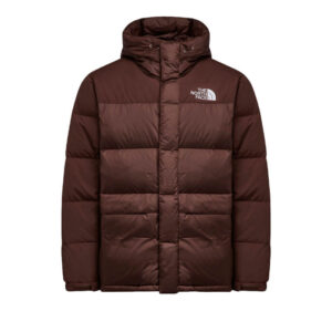 tnf himalayan down parka dark oak 1