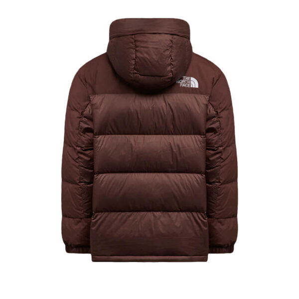 tnf himalayan down parka dark oak 2