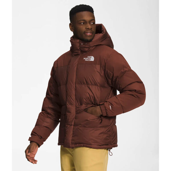 tnf himalayan down parka dark oak 6