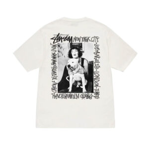 STUSSY how were living pig dyed tee natural 1