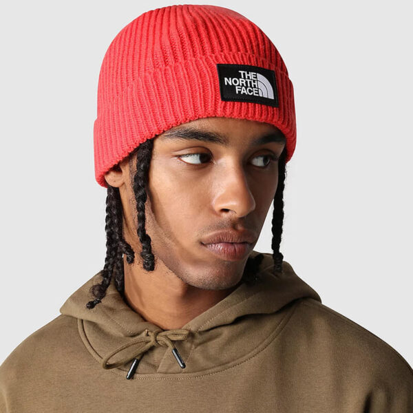 TNF logo box cuffed beanie red 2