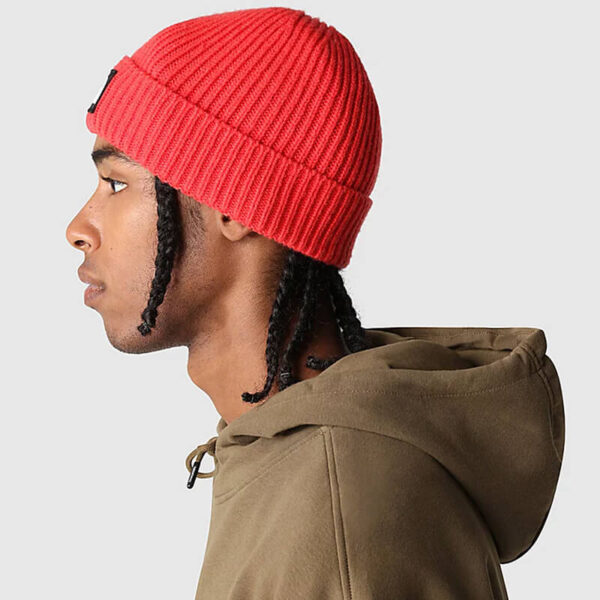 TNF logo box cuffed beanie red 4