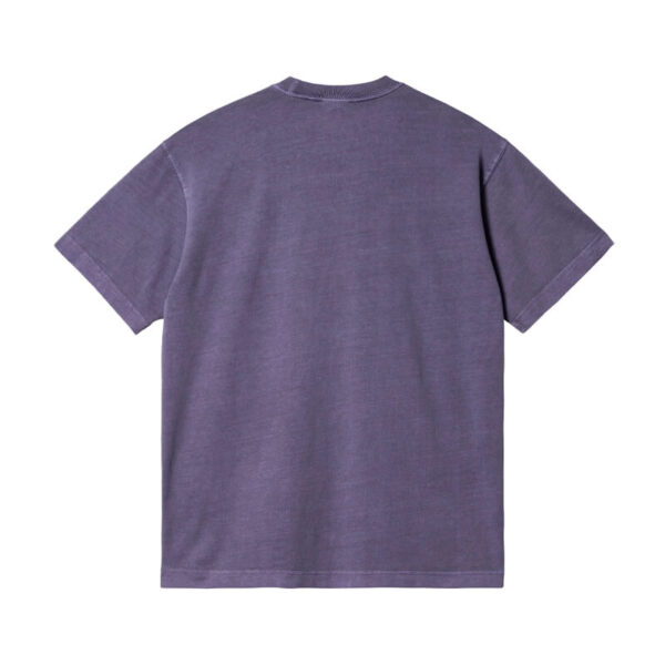 CARHARTT nelson tee arrenga2