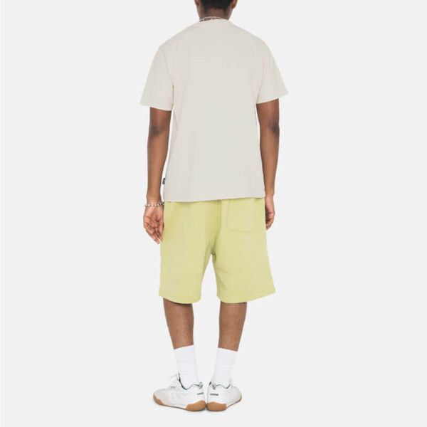 STUSSY Stock Logo Short - Pale Green