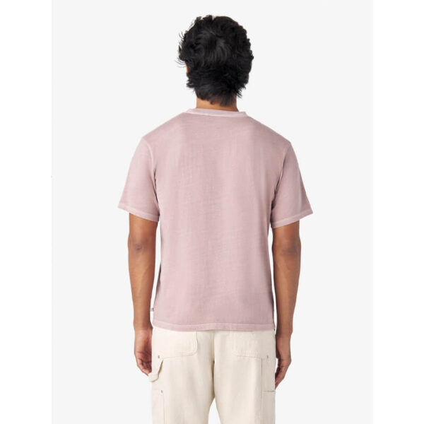 DICKIES Garment Dyed Tee - Fawn