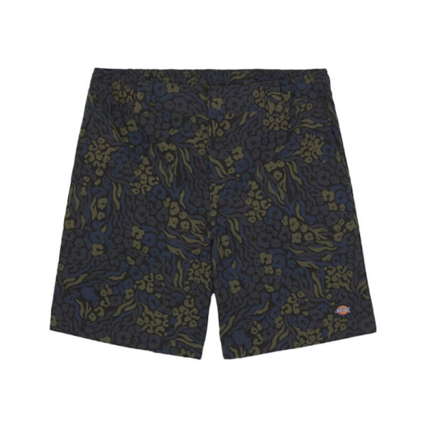 DICKIES Saltville Short - Blue / Brown