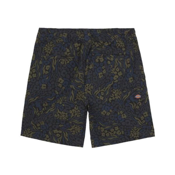 DICKIES Saltville Short - Blue / Brown