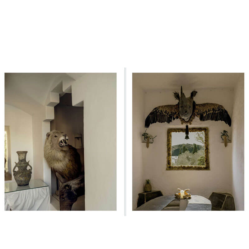 Casa Dalí Coco Capitán